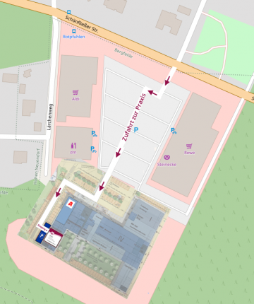 Google-Maps